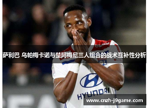 萨利巴 乌帕梅卡诺与楚阿梅尼三人组合的战术互补性分析 萨利巴 乌帕梅卡诺与楚阿梅尼三人组合的战术互补性分析