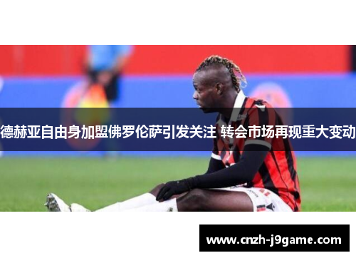 德赫亚自由身加盟佛罗伦萨引发关注 转会市场再现重大变动